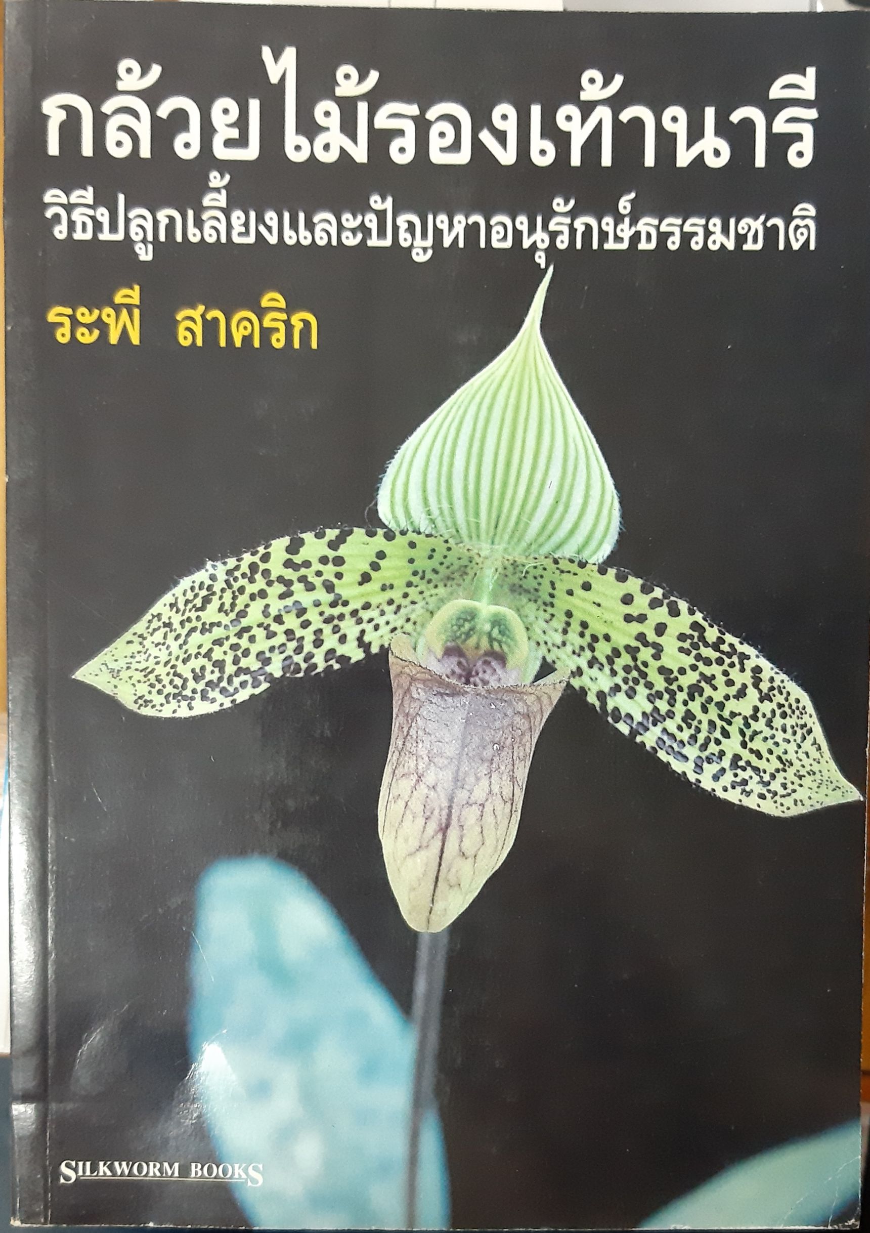 กล้วยไม้รองเท้านารี