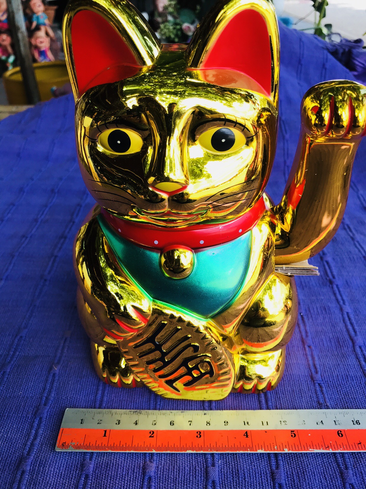 แมวกวัก5”