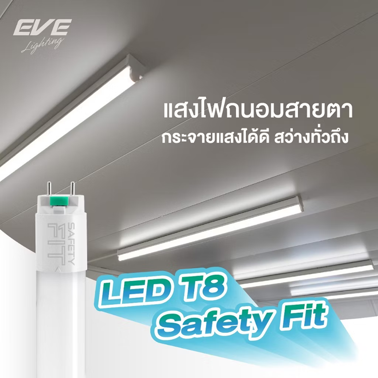 ยกลัง หลอด LED T8 22W Daylight EVE LIGHTING รุ่น Safety Fit 25หลอด ยกกลัง นีออนLED หลอดยาว 120เซน ใส่กับขารางได้ทุกยี่ห้อ แอลอีดี มีป้องกันไฟซ๊อต