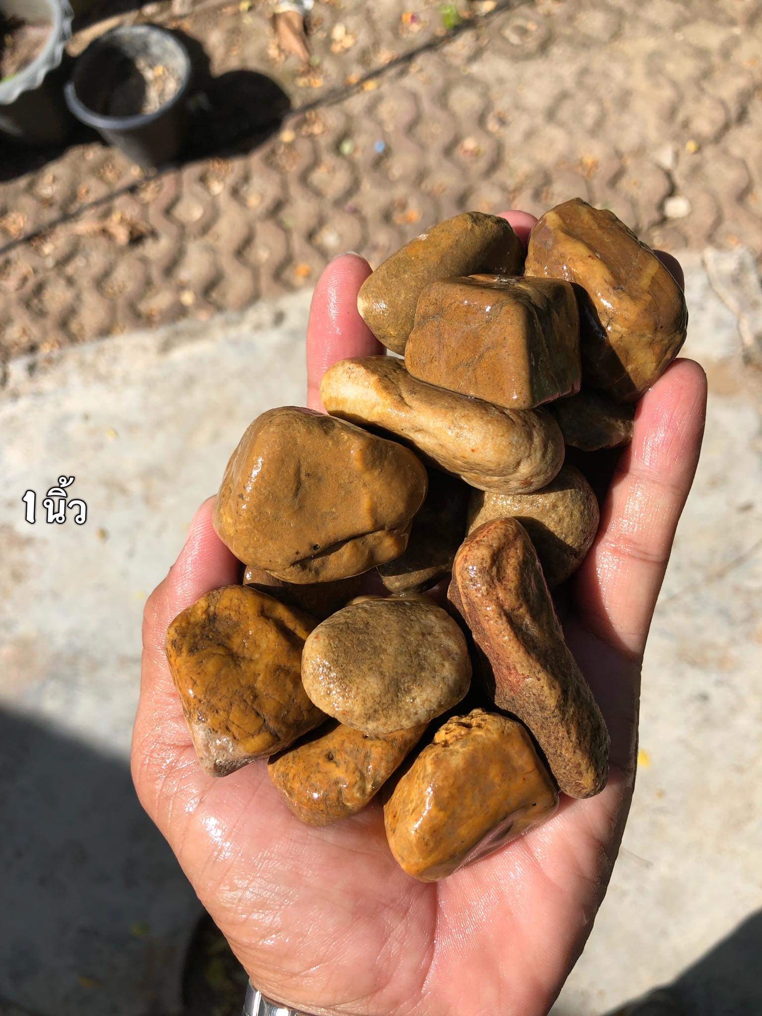 หินกรวด