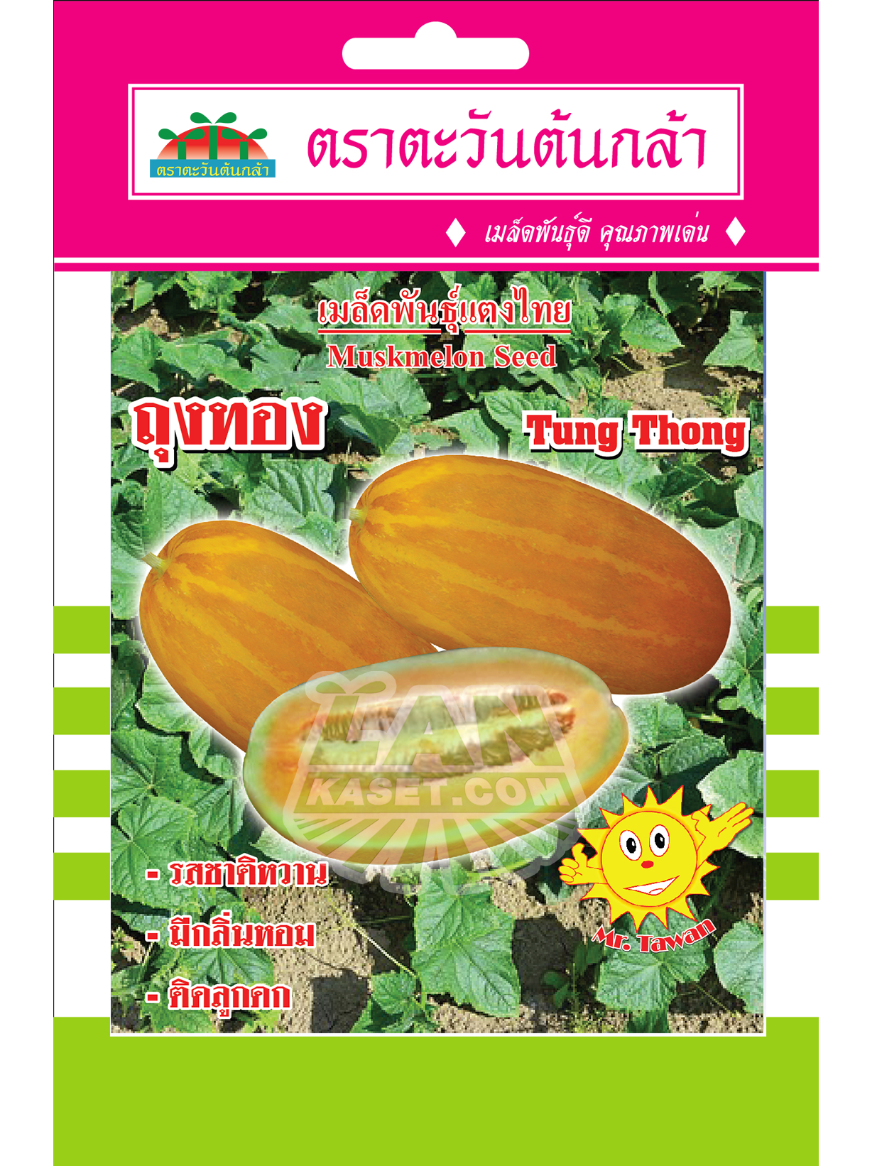 แตงไทย ถุงทอง (V74)