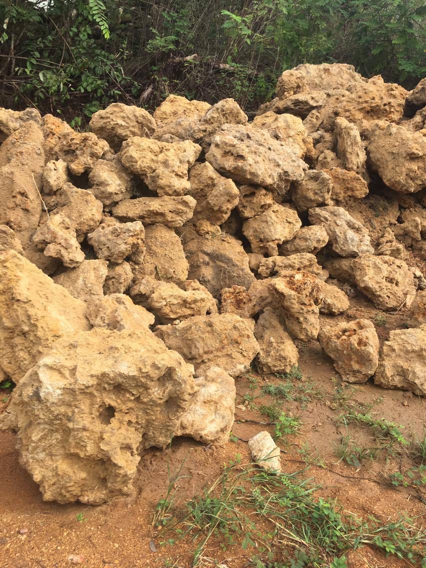 หินฟองน้ำ