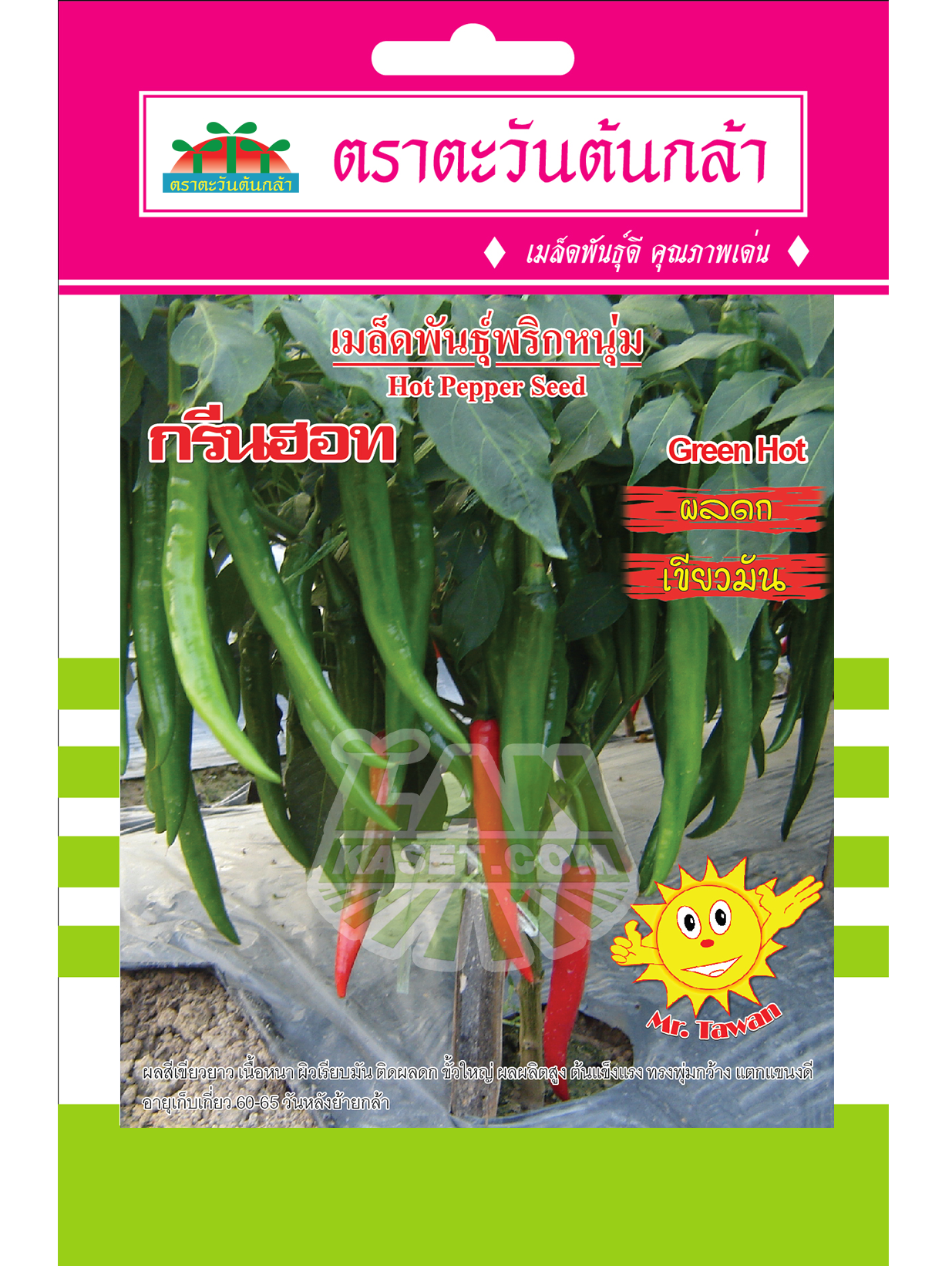 V49 เมล็ดพันธุ์พริกหนุ่ม กรีนฮอท