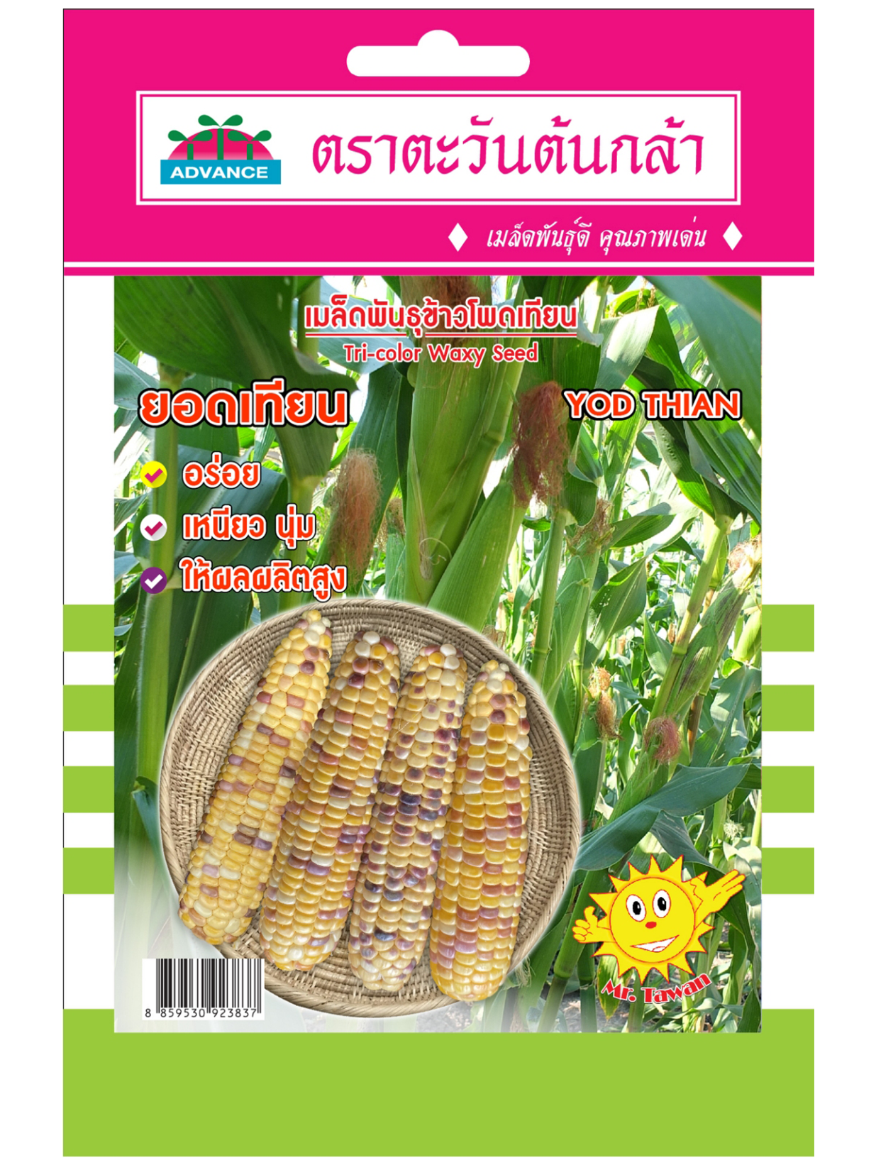 V79 เมล็ดพันธุ์ข้าวโพดเทียน ยอดเทียน