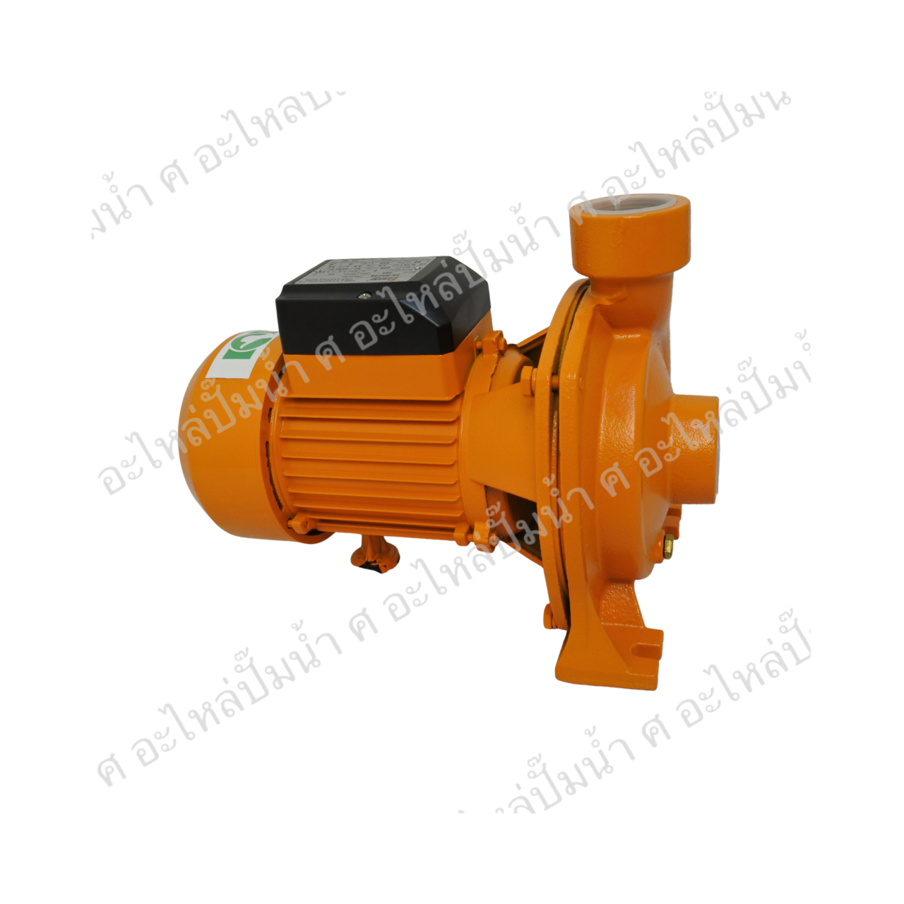 ปั๊มหอยโข่ง TASANI รุ่น SKMHF 5B/1"1/2 x 1HP