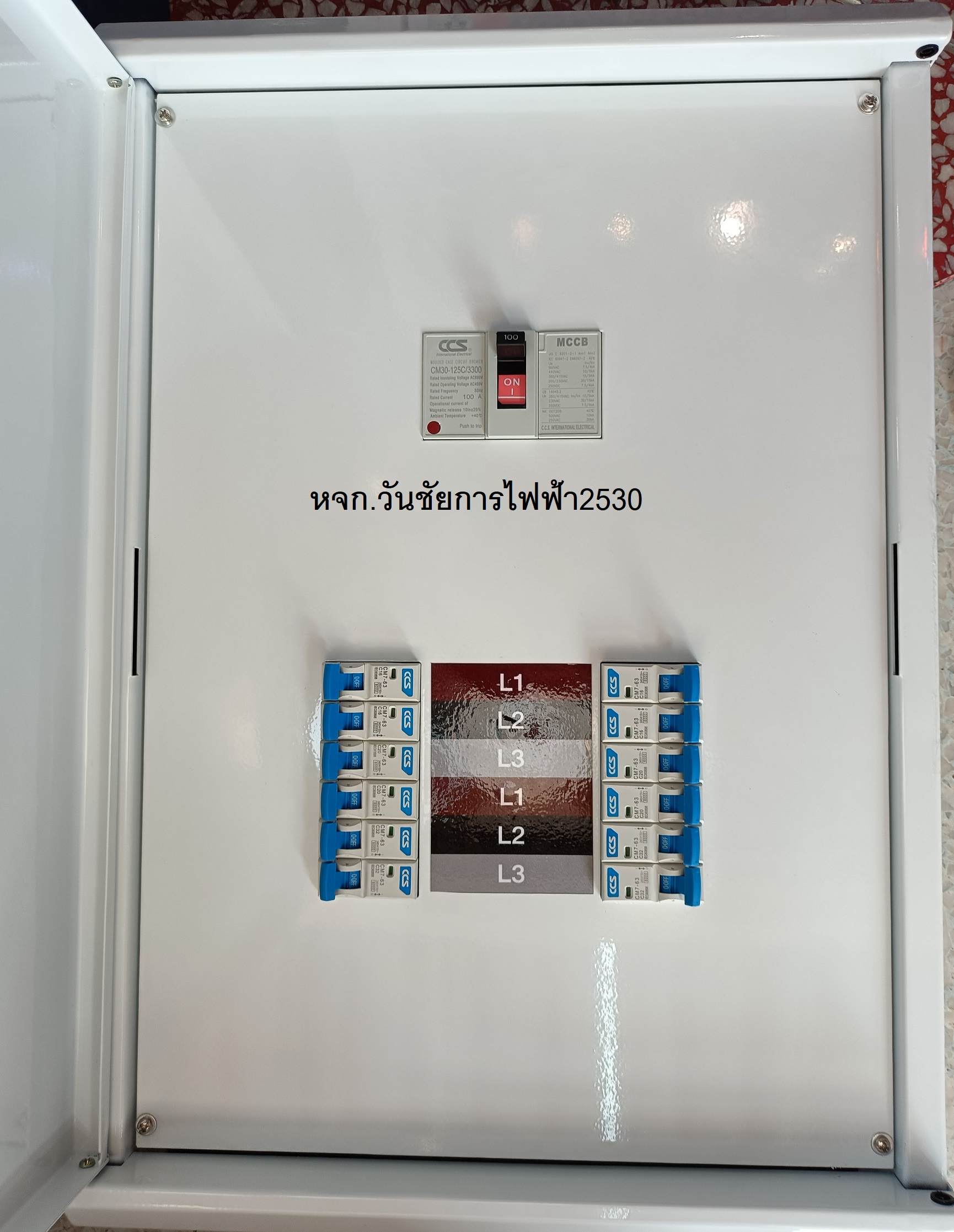 CCS ตู้ไฟฟ้า 3เฟส 12 ช่อง 3P 100A ตู้โหลดเซ็นเตอร์ พร้อมลูกเบรเกอร์ พร้อมMAIN ครบชุด 100แอมป Load Center