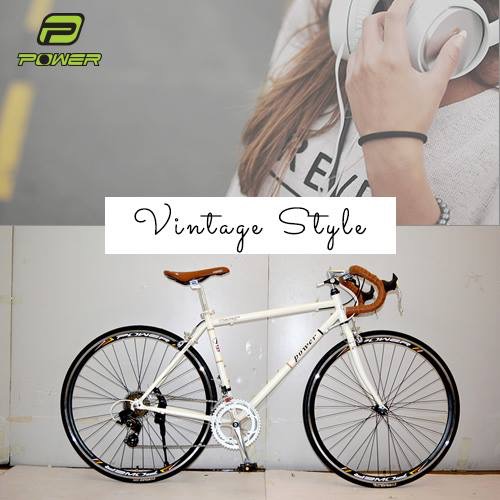 เสือหมอบวินเทจ POWER