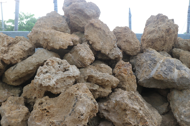 หินฟองน้ำ