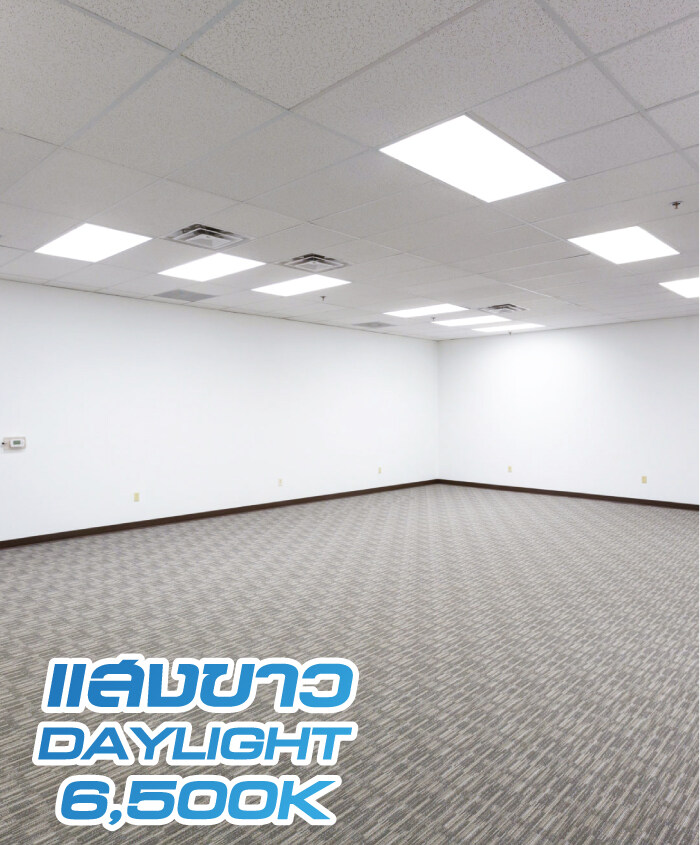 โคมไฟขนาดเท่าฝ้า Philips โคมไฟพาแนลฝังฝ้า 30x120 รุ่น RC048 โคมพาแนล rc048 LED Smart Bright Direct Panel พาแนล 36W แสงขาว Daylight