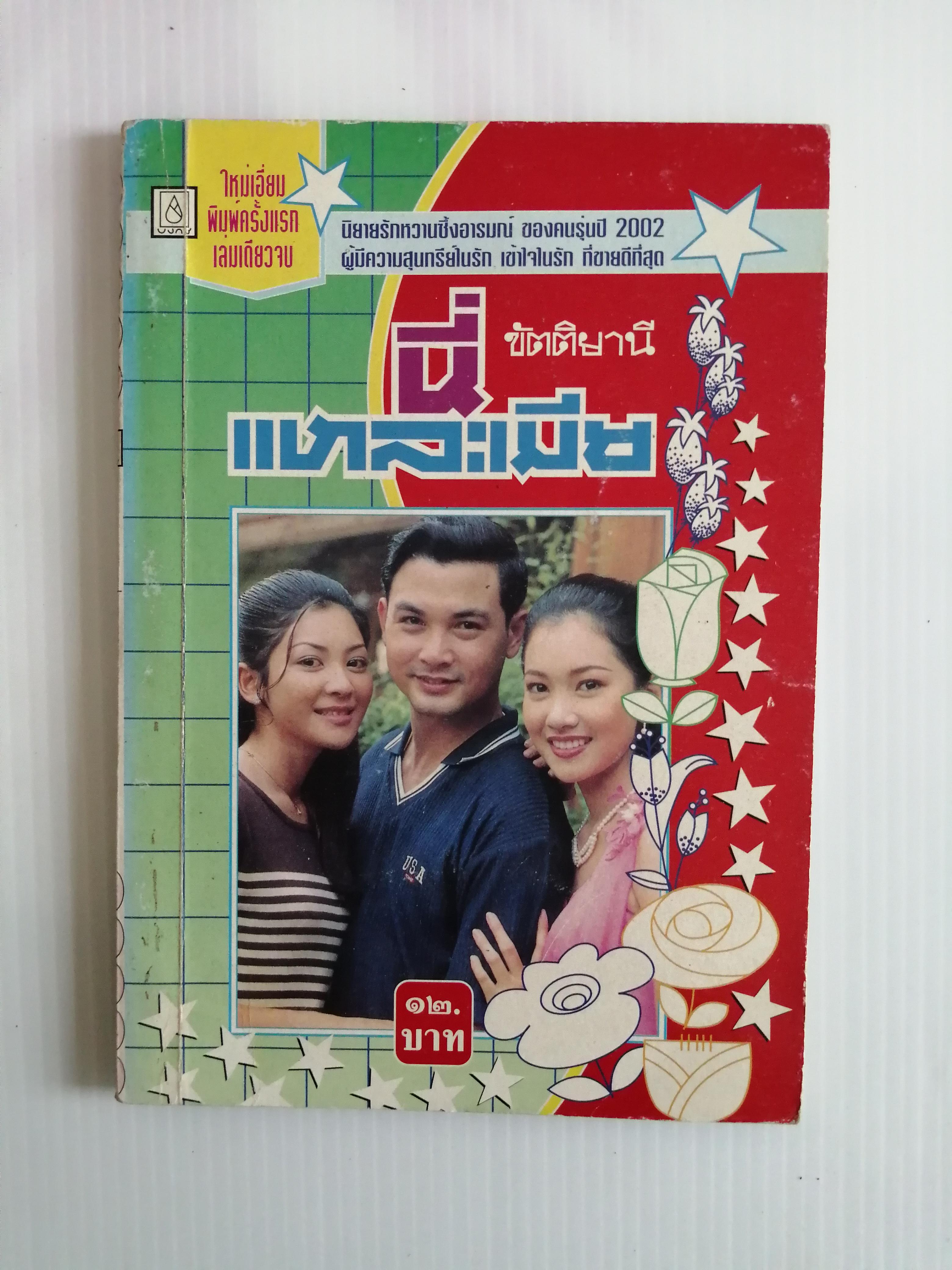นี่แหละเมีย โดย ขัตติยานี ( เล่มเดียวจบ)