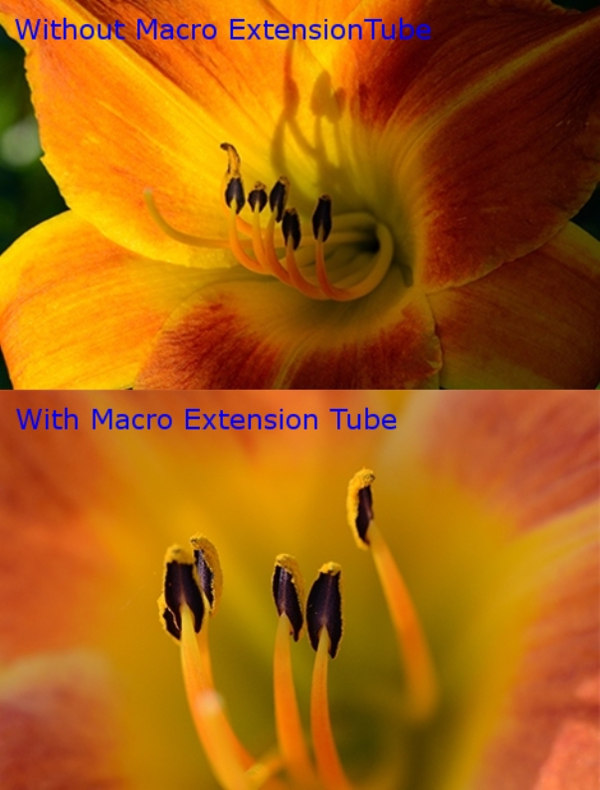 Nikon SLR DSLR F Mount Auto Focus Macro Extension Tube ท่อมาโคร ออโต้โฟกัส