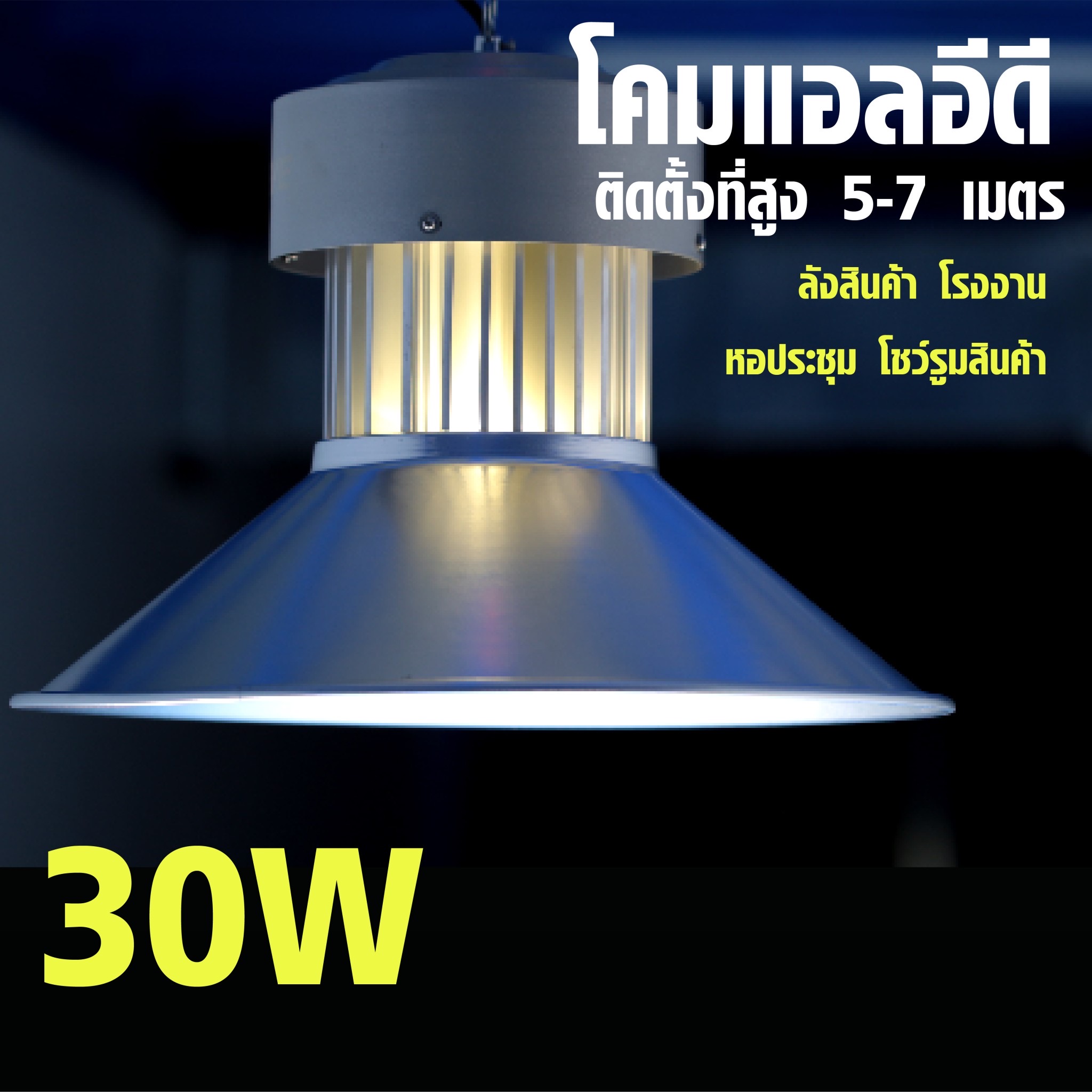 LED Low Bay 30w Daylight