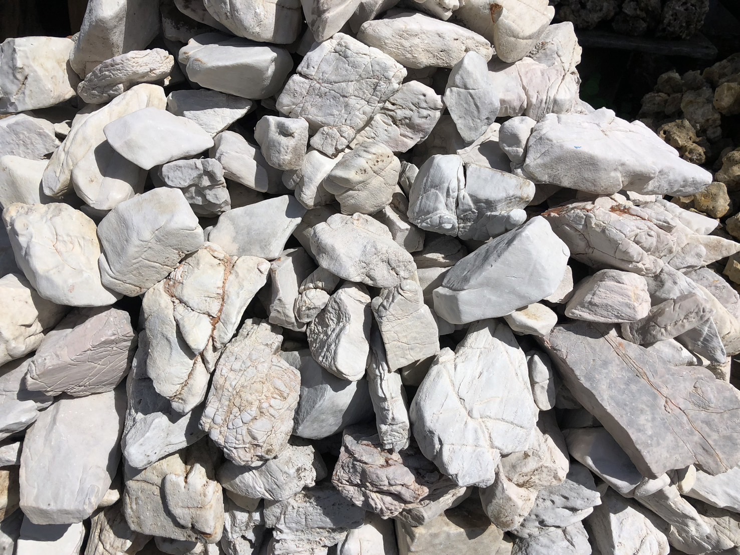 หินปาเต๊ะสีขาว