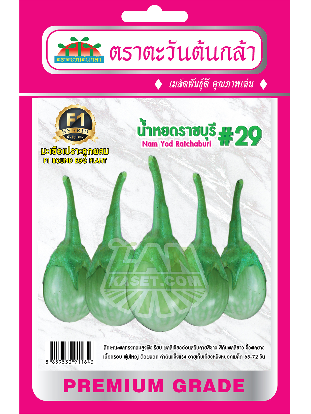 H54 เมล็ดพันธุ์มะเขือเปราะ น้ำหยดราชบุรี #29