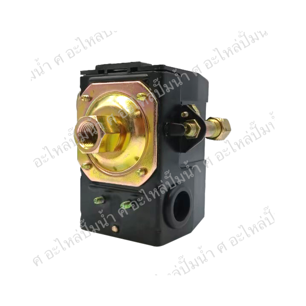 PC 6-70-100 PSI เกลียวใน