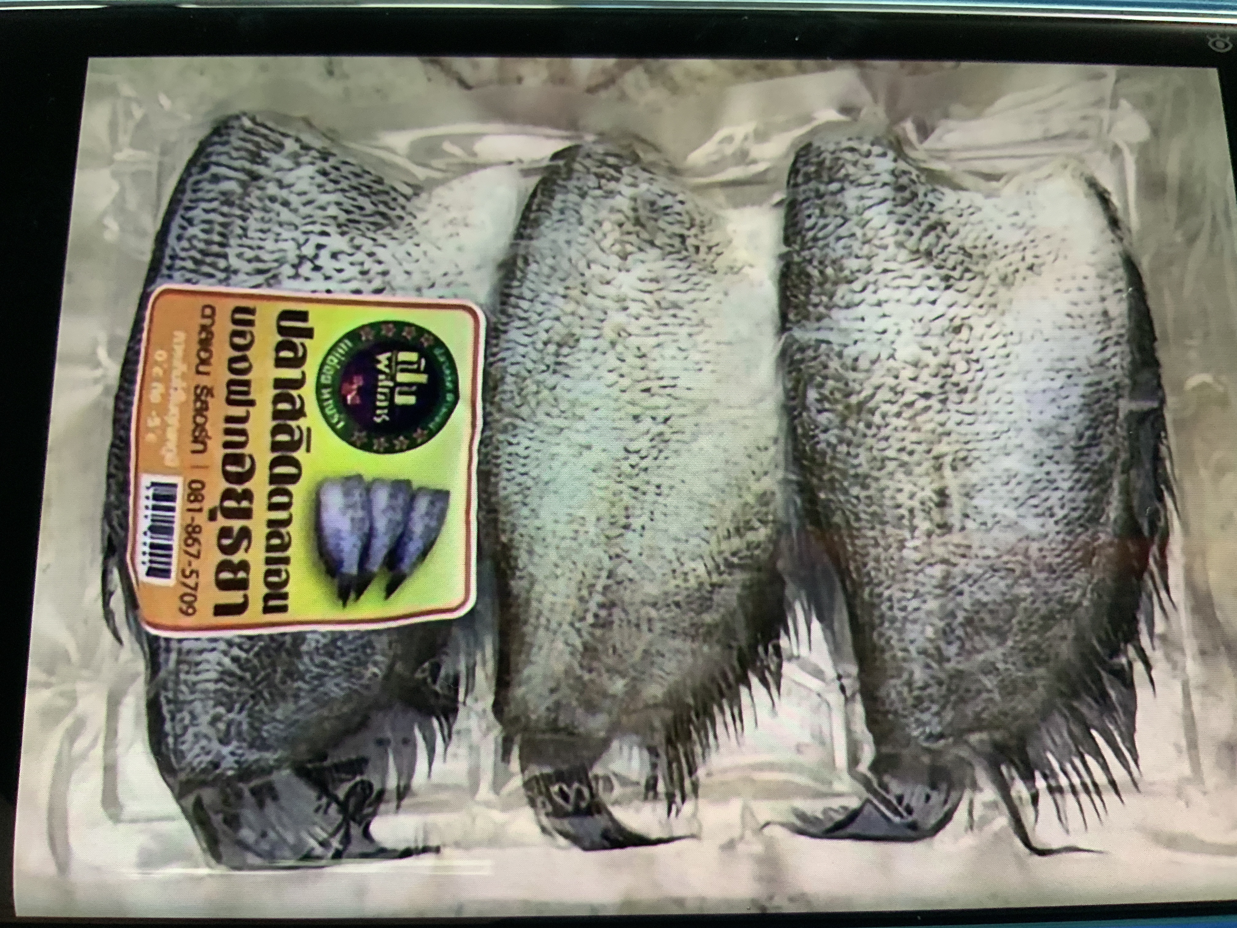 ปลาสลิดแดดเดียว