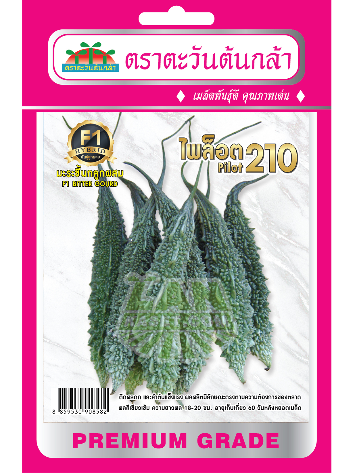 H38 เมล็ดพันธุ์มะระลูกผสม ไพล็อต 210