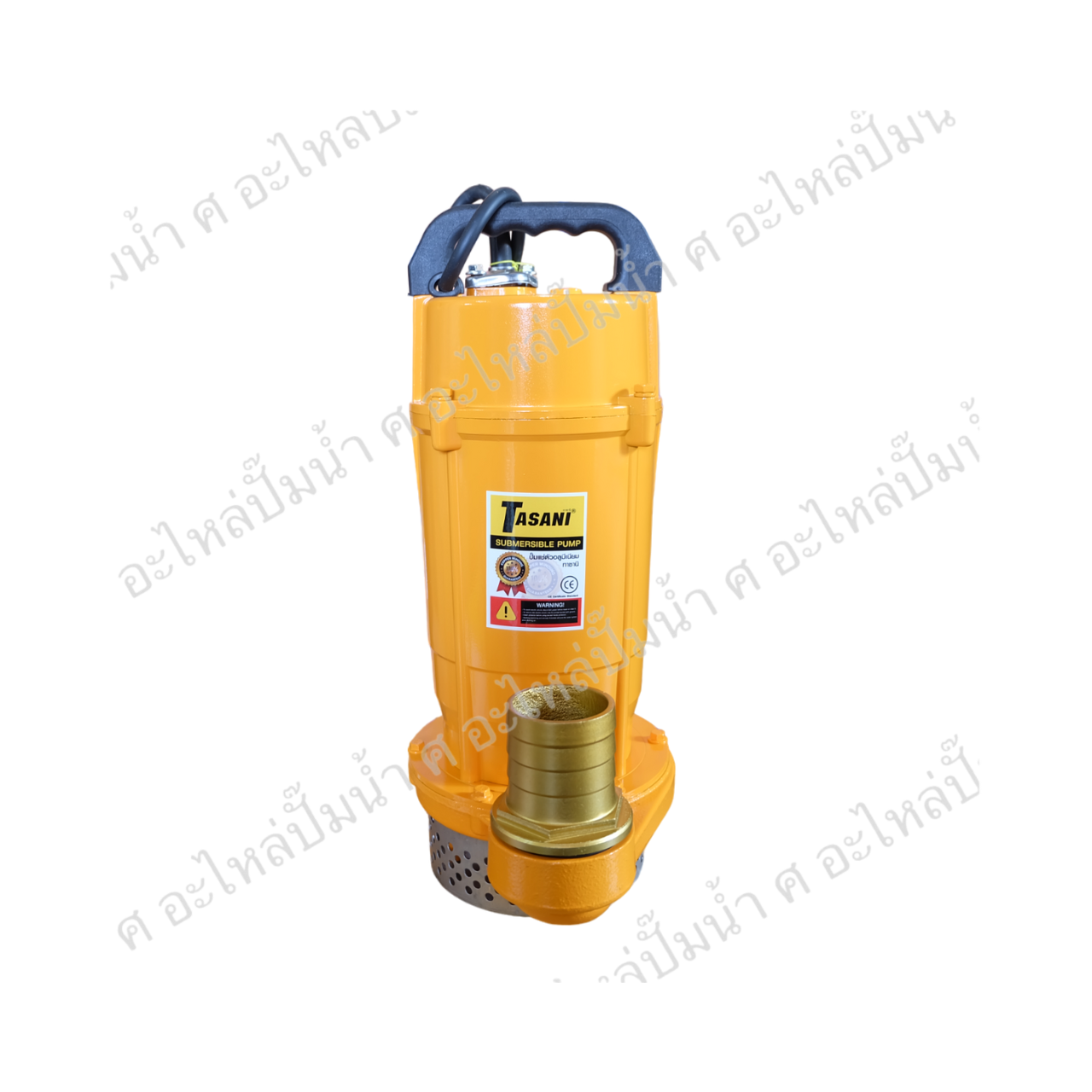 ปั๊มแช่ TASANI รุ่น SKQDX-750 (2")