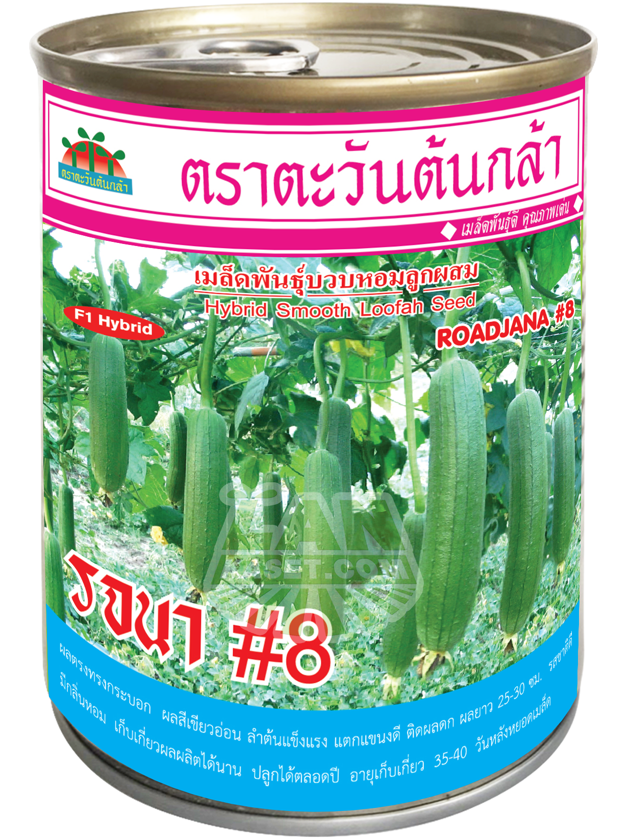 บวบหอมลูกผสม รจนา #8 (50กรัม)