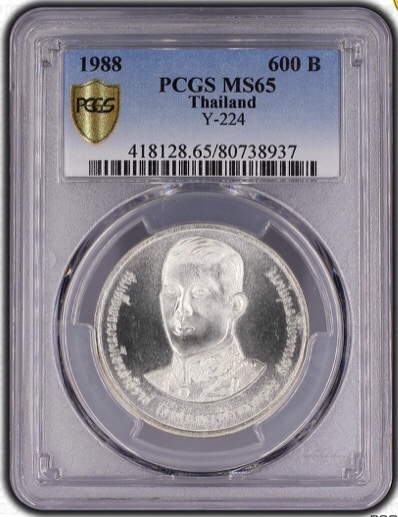 สมเด็จพระบรมโอรสาธิราช เจ้าฟ้ามหาวชิราลงกรณ สยามมงกุฏราชกุมาร พระชนมายุ 36 พรรษา