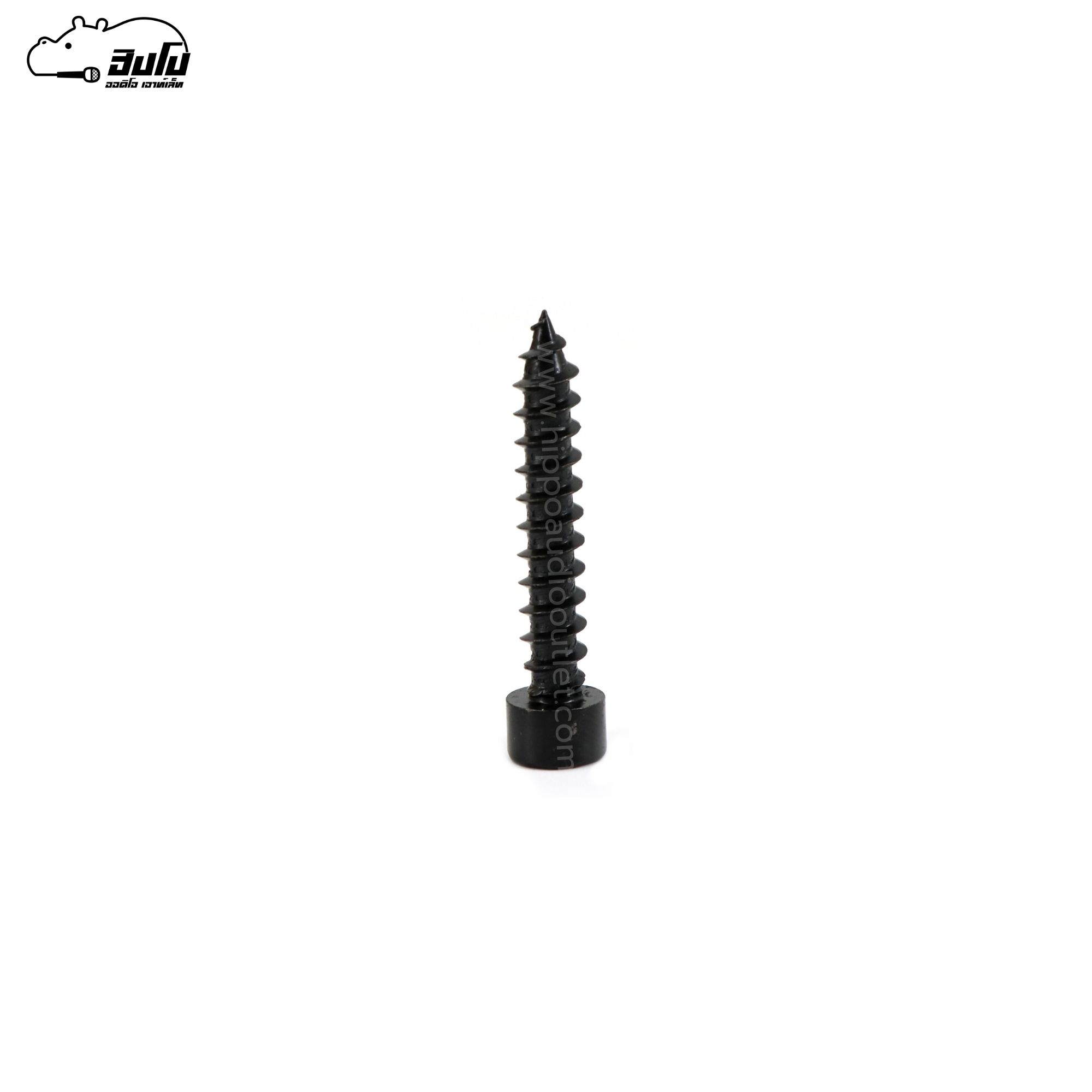 น็อต 6*35(กระปุก 100ตัว)สกรูหัวกลมรูในหกเหลี่ยม ปลายแหลม (ฉ9.1)