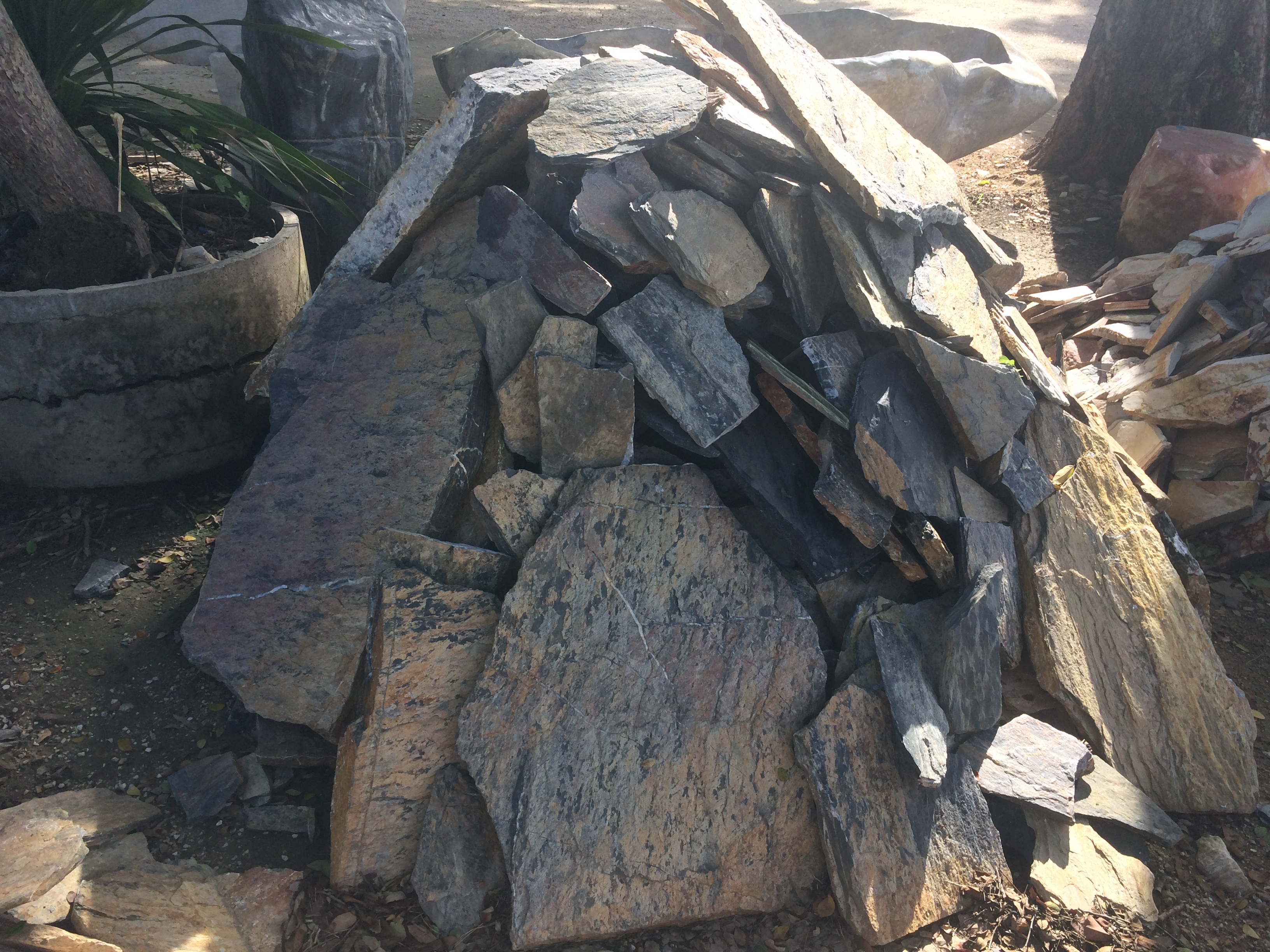 หินกาบดำเหลือง