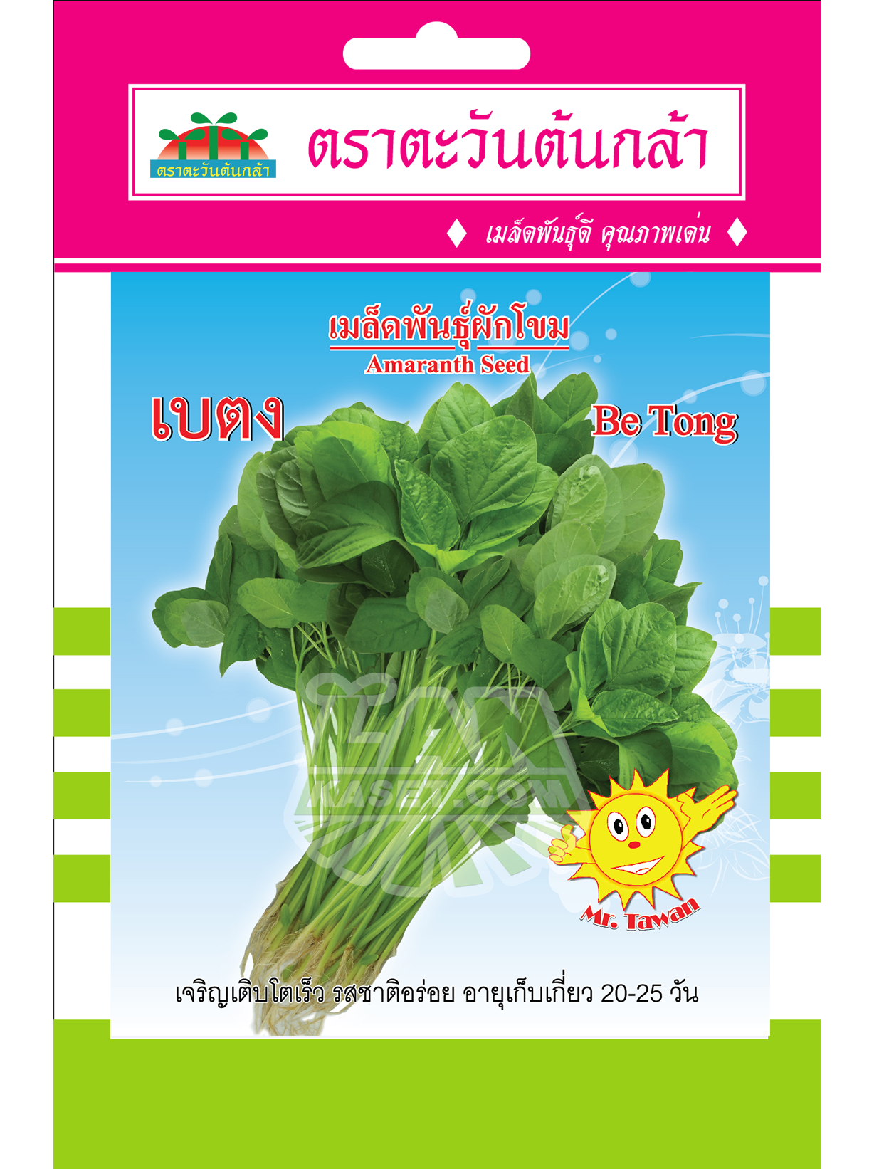 V71 เมล็ดพันธุ์ผักโขม เบตง
