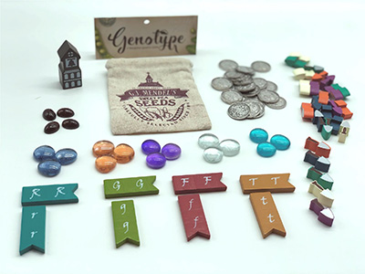 Genotype: A Mendelian Genetics Game