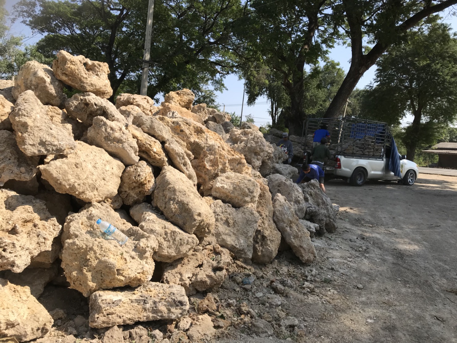 หินฟองน้ำ