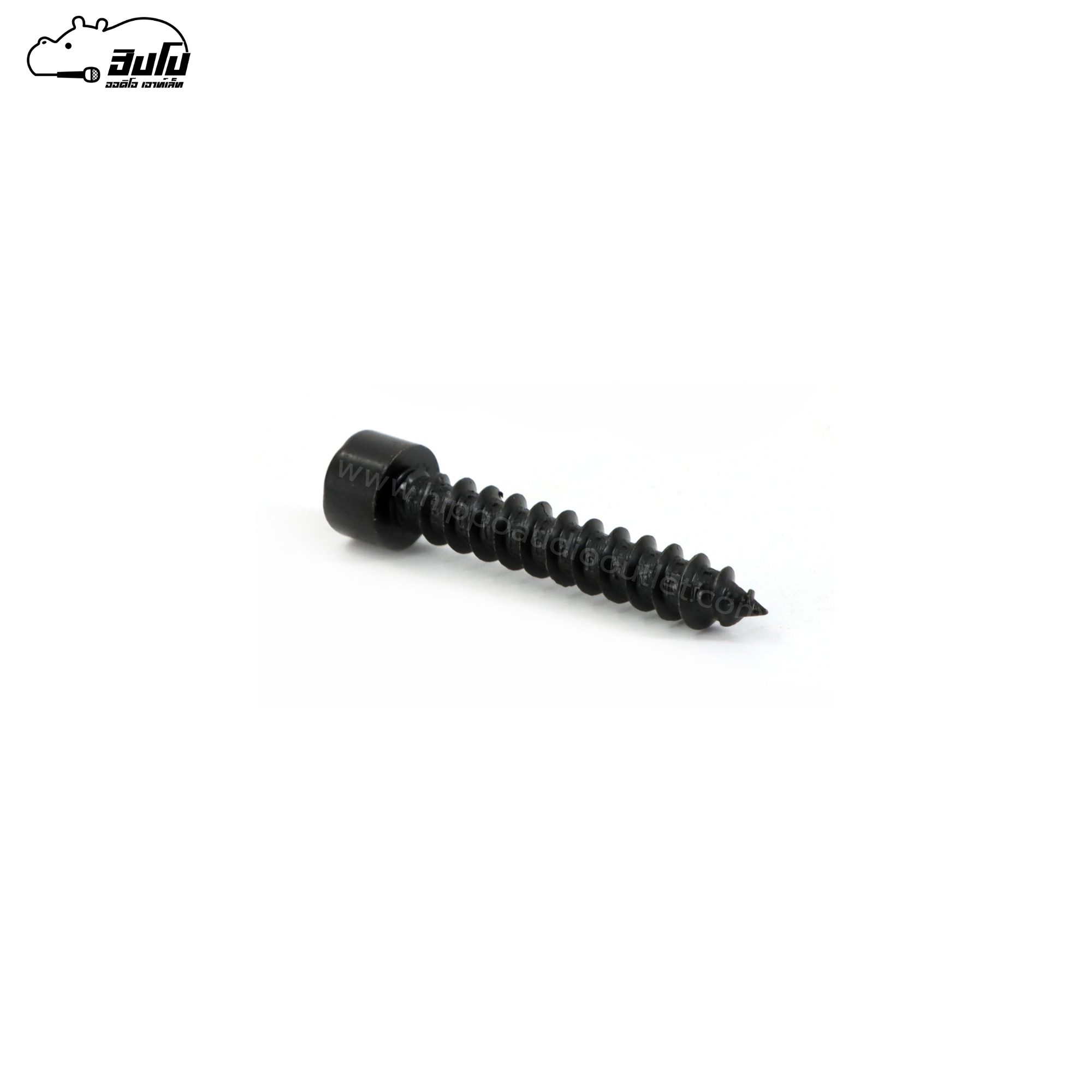 น็อต 6*35(กระปุก 100ตัว)สกรูหัวกลมรูในหกเหลี่ยม ปลายแหลม (ฉ9.1)