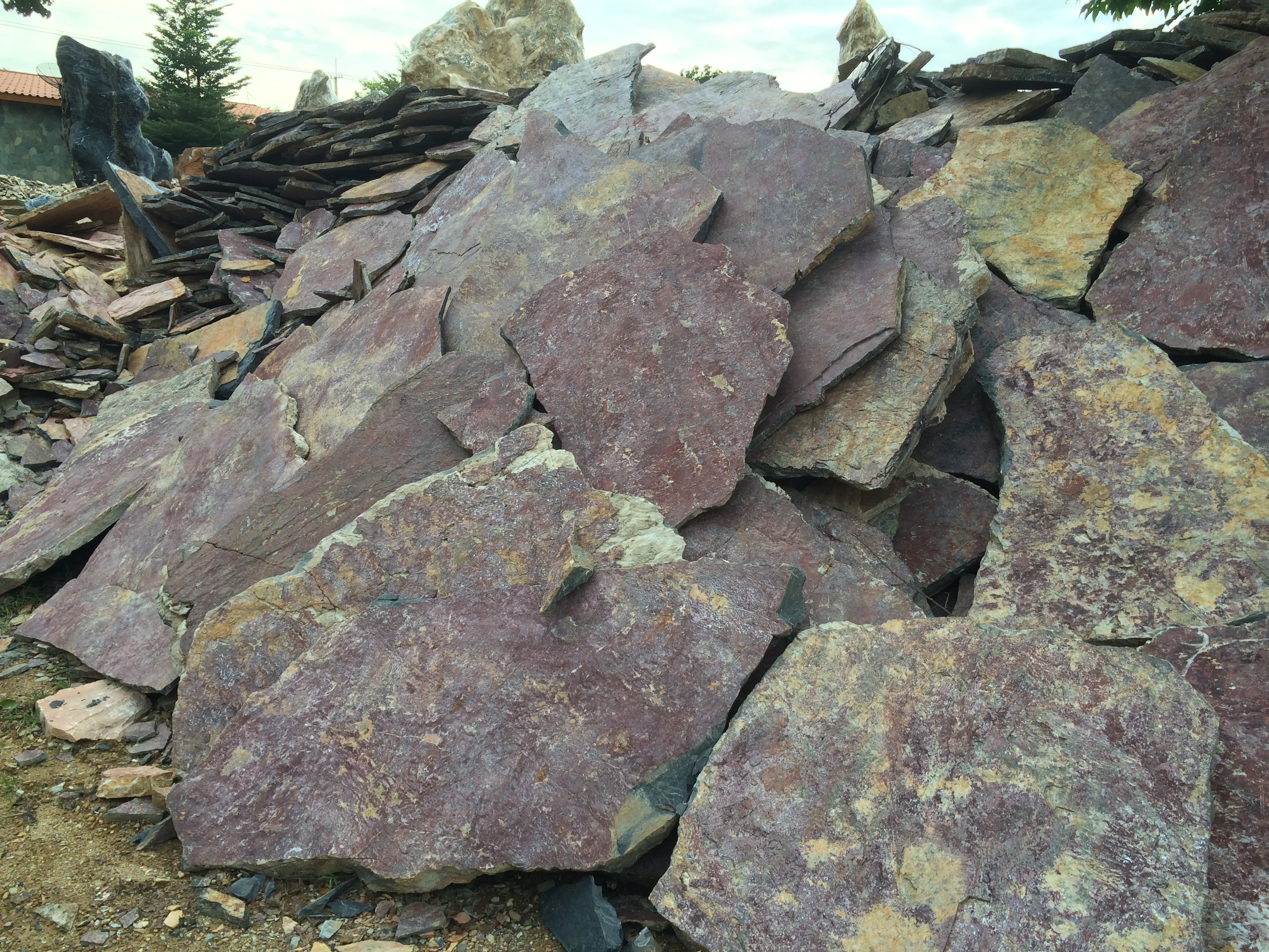 หินแผ่นสีม่วง