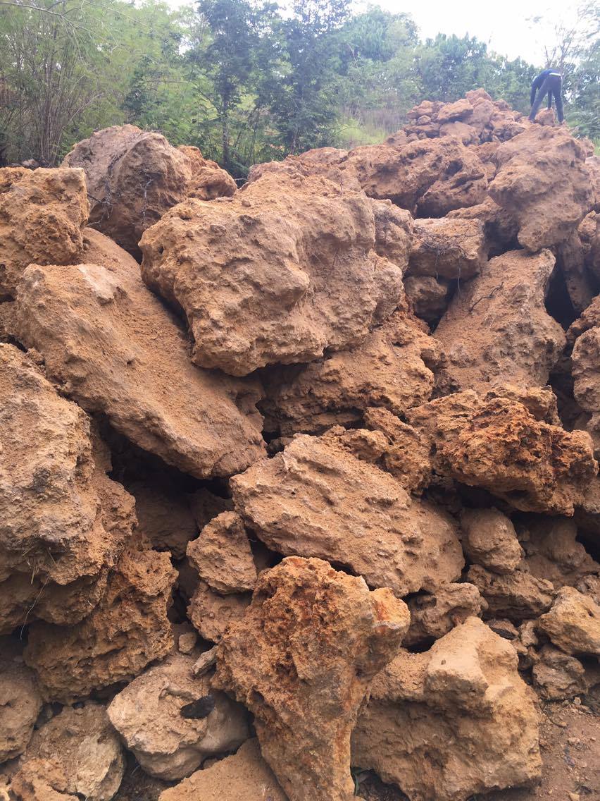 หินฟองน้ำ