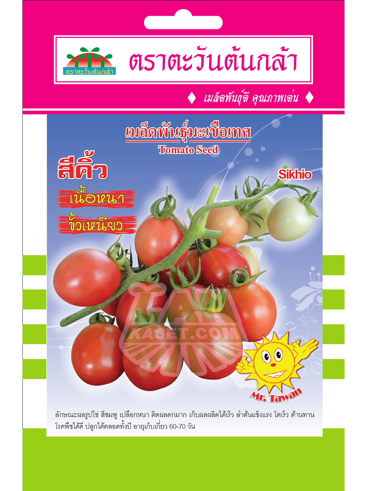 V19 เมล็ดพันธุ์มะเขือเทศ สีคิ้ว