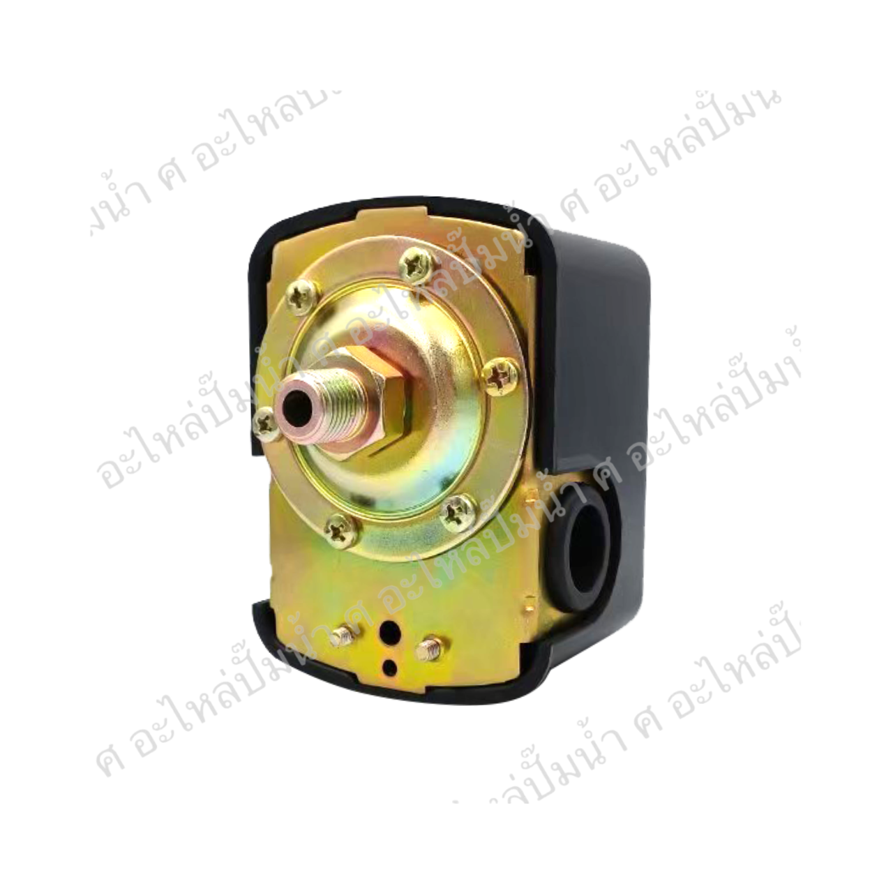 PC 1-30-50 PSI เกลียวนอก