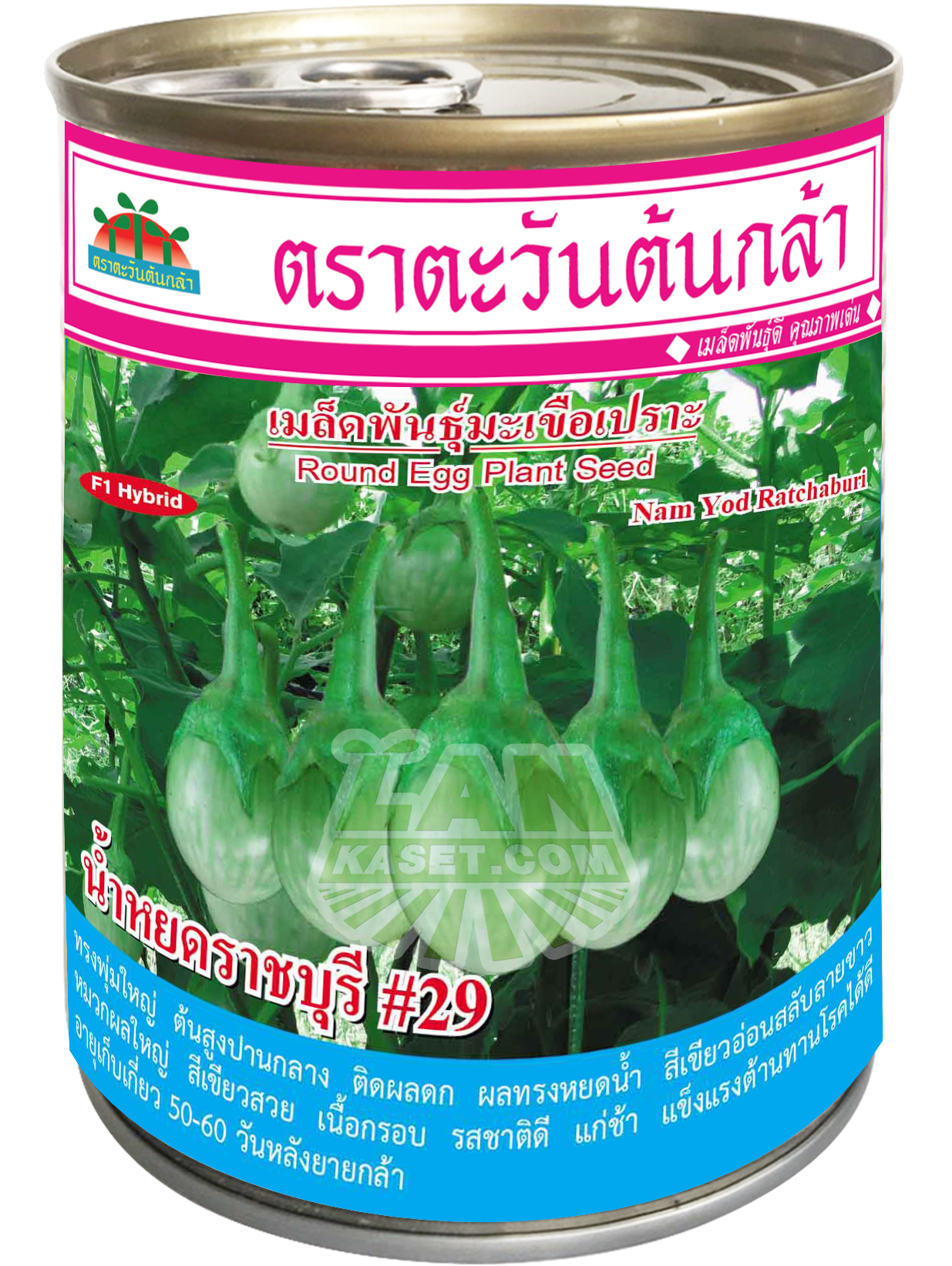 มะเขือเปราะลูกผสม น้ำหยดราชบุรี 29 (50กรัม)