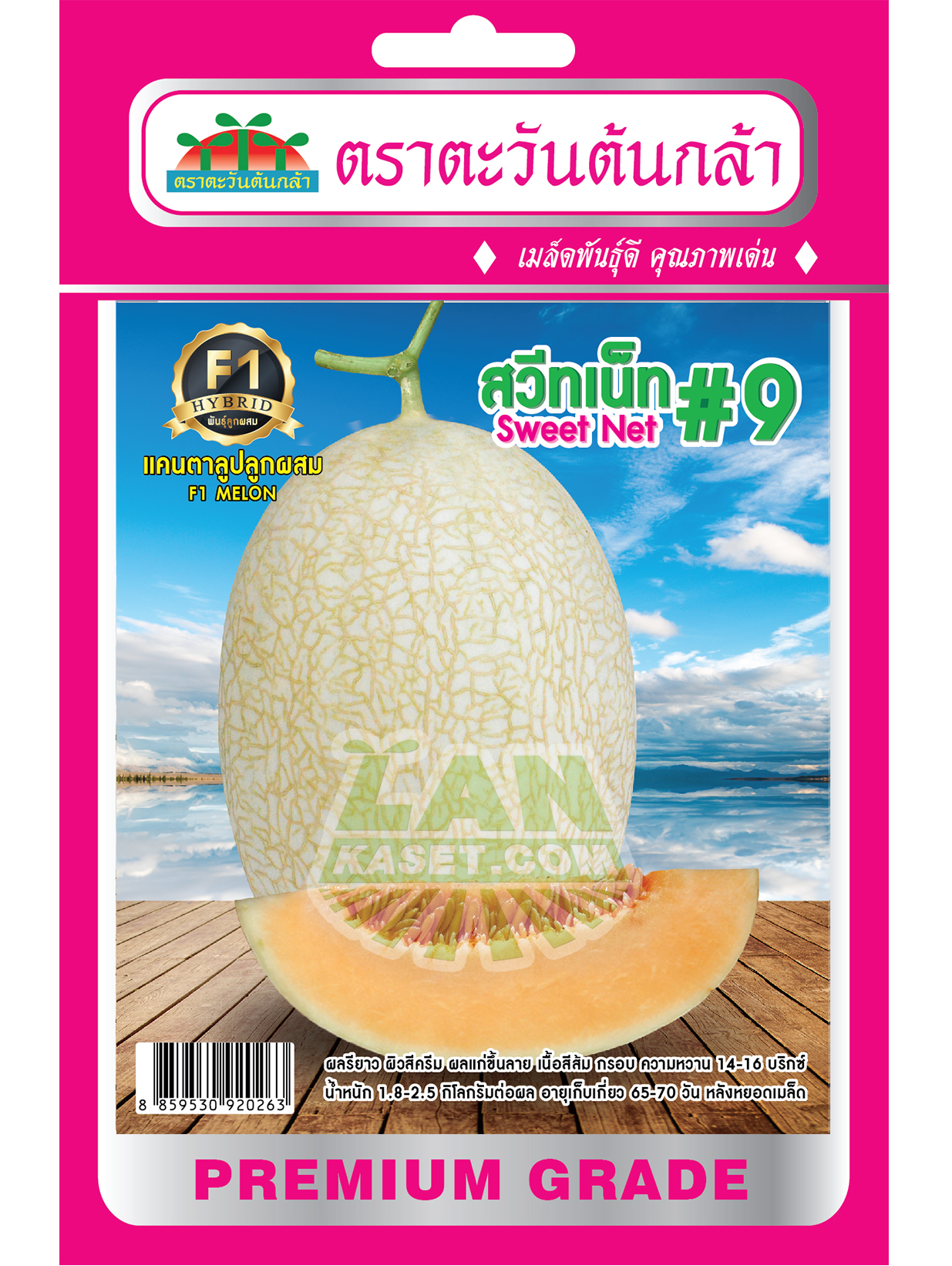 H61 เมล็ดพันธุ์แคนตาลูปลูกผสม สวีทเน็ท#9