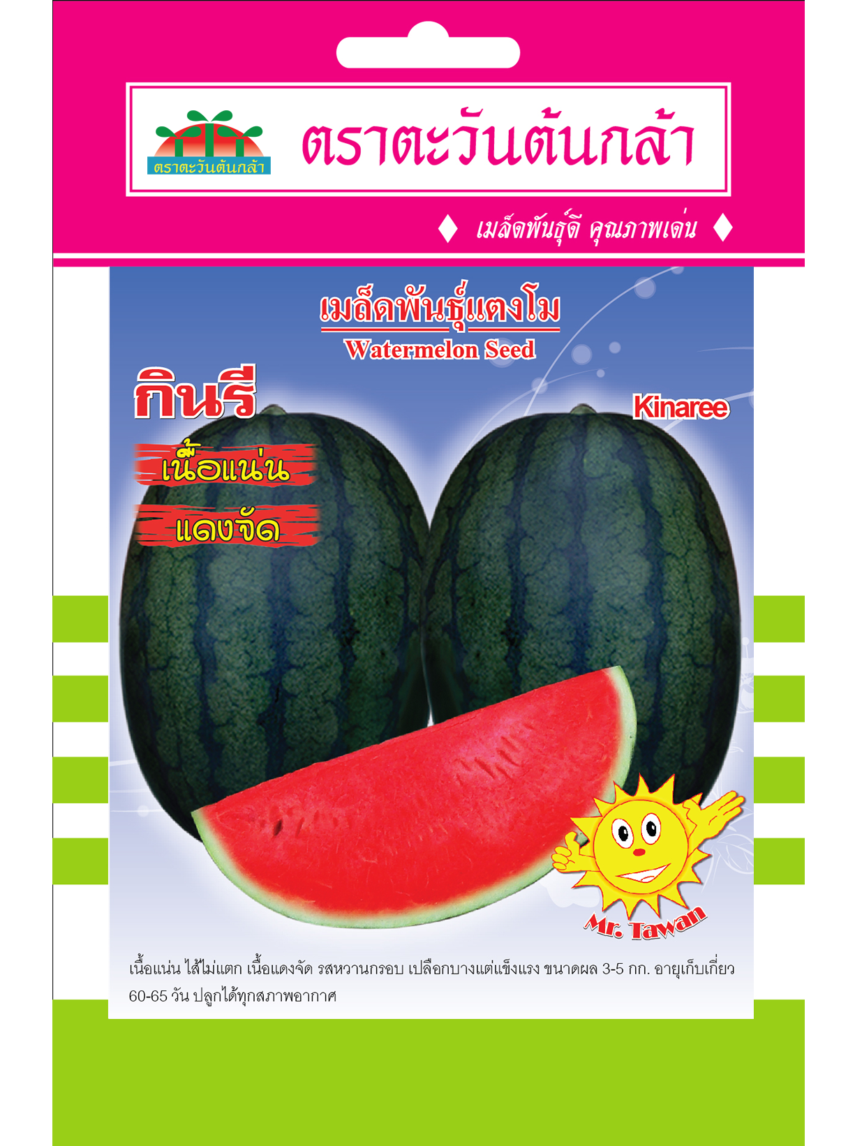 V3 เมล็ดพันธุ์แตงโม จินตหรา