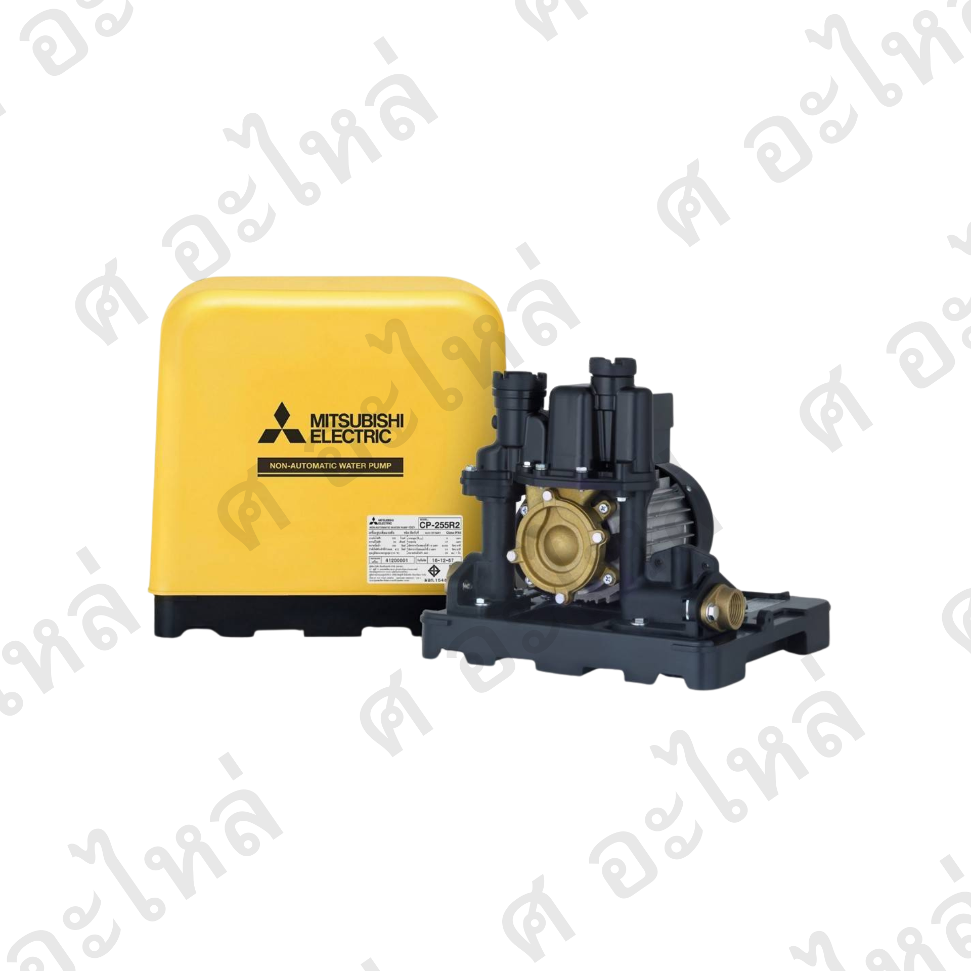 ปั๊มน้ำแบบธรรมดา มิตซูบิชิ รุ่น CP-255R2