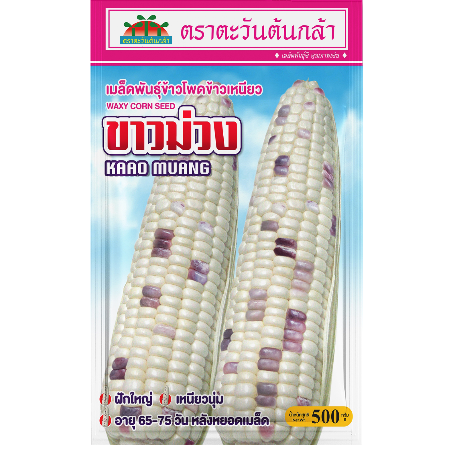 ข้าวโพดข้าวเหนียว ขาวม่วง (500กรัม)