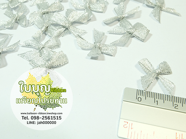โบว์เงิน โบวจิ๋ว