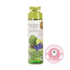 แชมพูมะกรูดประคำดีควาย reactive shampoo