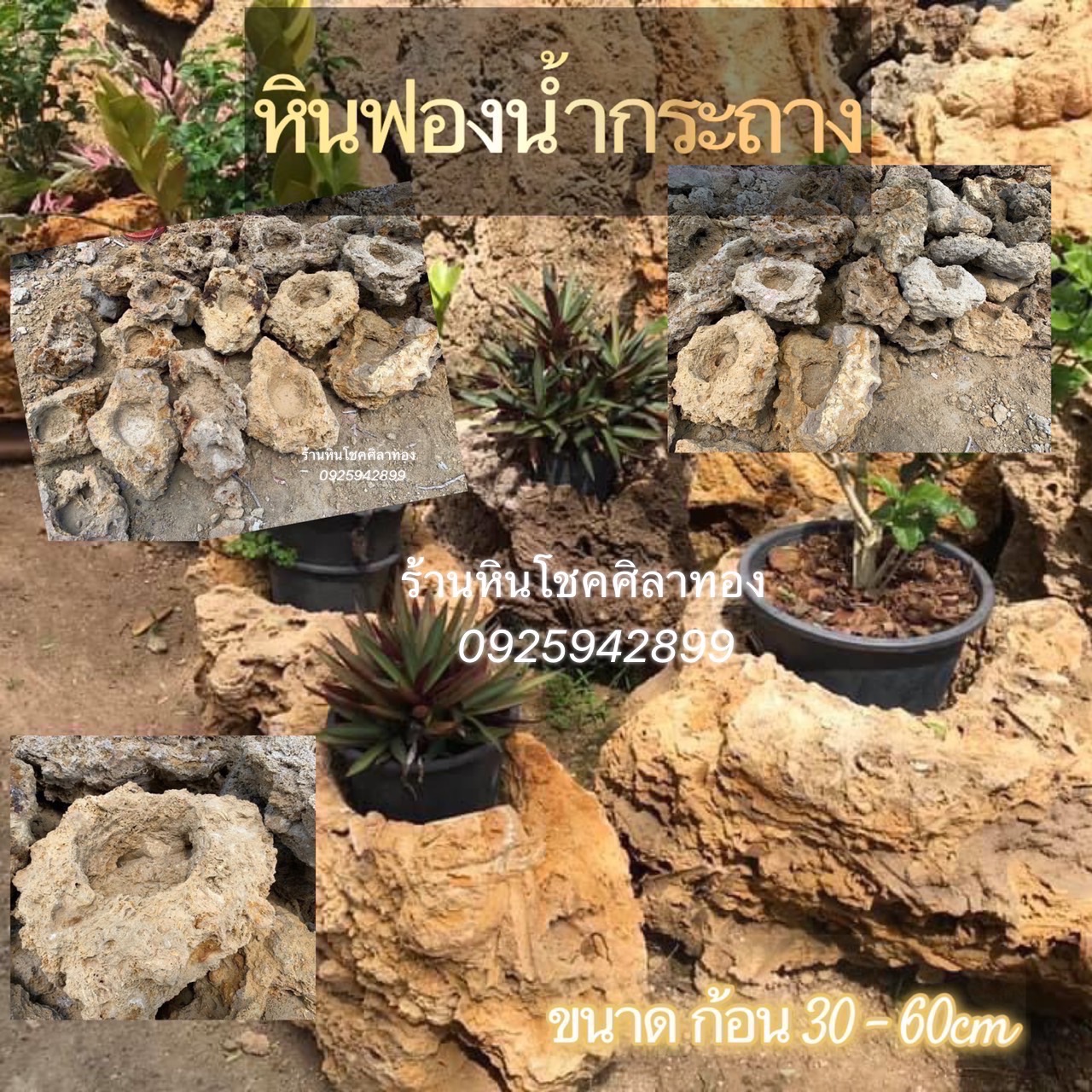 หินฟองน้ำกระถาง