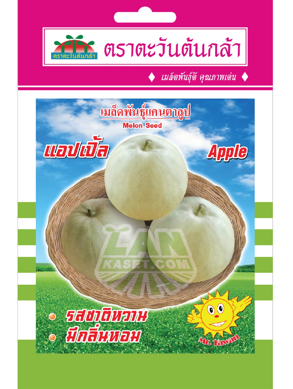 V76 เมล็ดพันธุ์แคนตาลูป แอปเปิ้ล