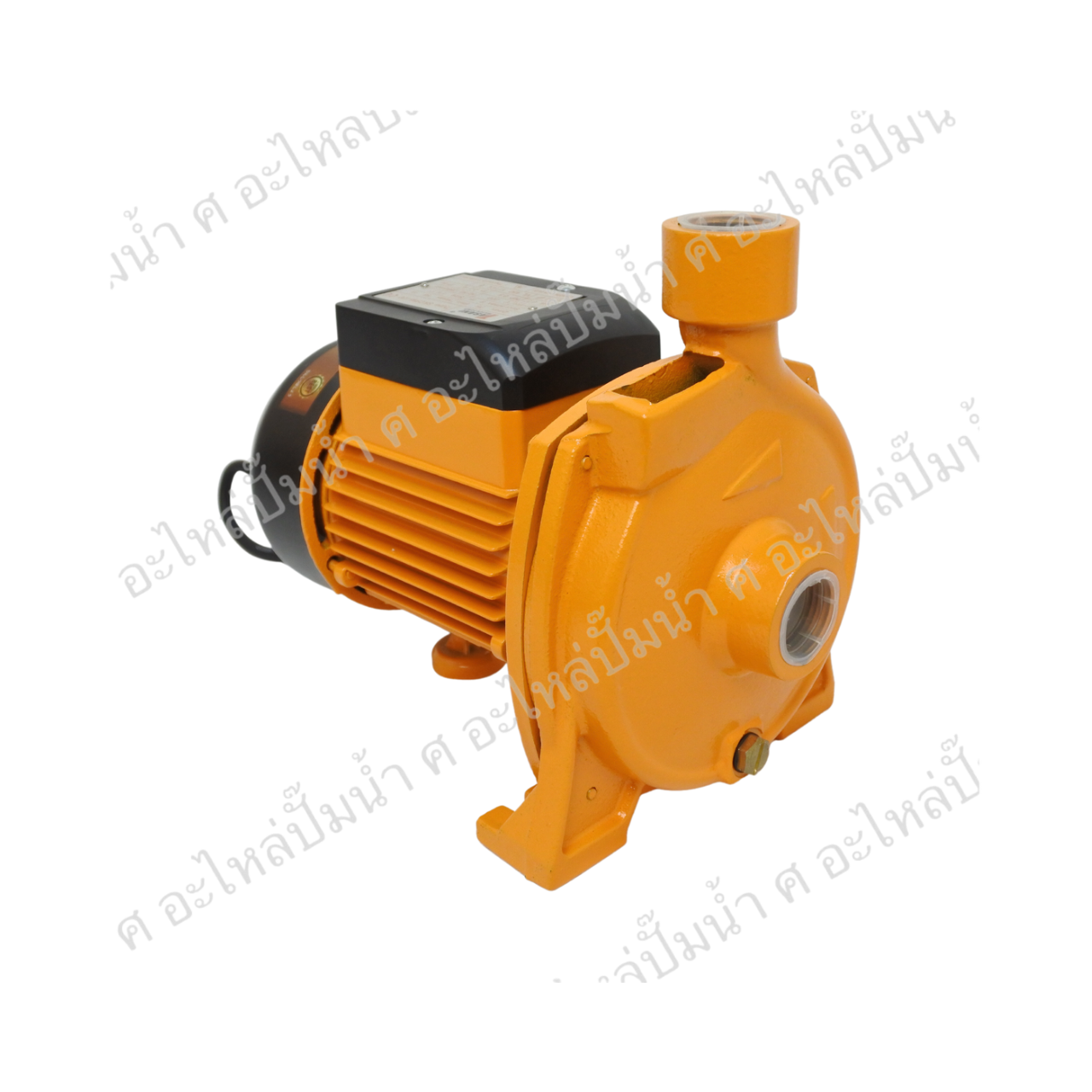 ปั๊มหอยโข่ง TASANI รุ่น SKCPM-130 / 1"x0.5HP ใบพัดใหญ่
