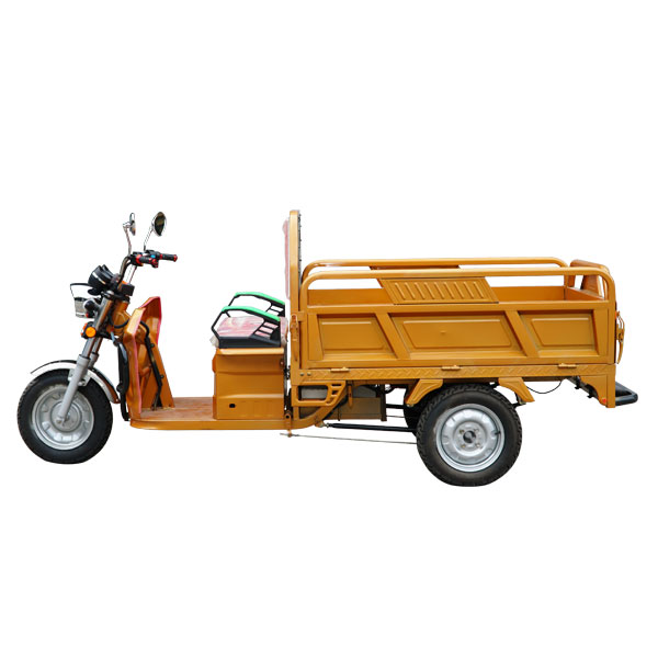 รถสามล้อไฟฟ้า-บรรทุกเล็ก