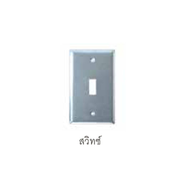 ฝาปิดเอฟ.เอส.บ๊อกซ์ 2" x 4" รุ่นหนา (F.S. Cover Plate 2" x 4")
