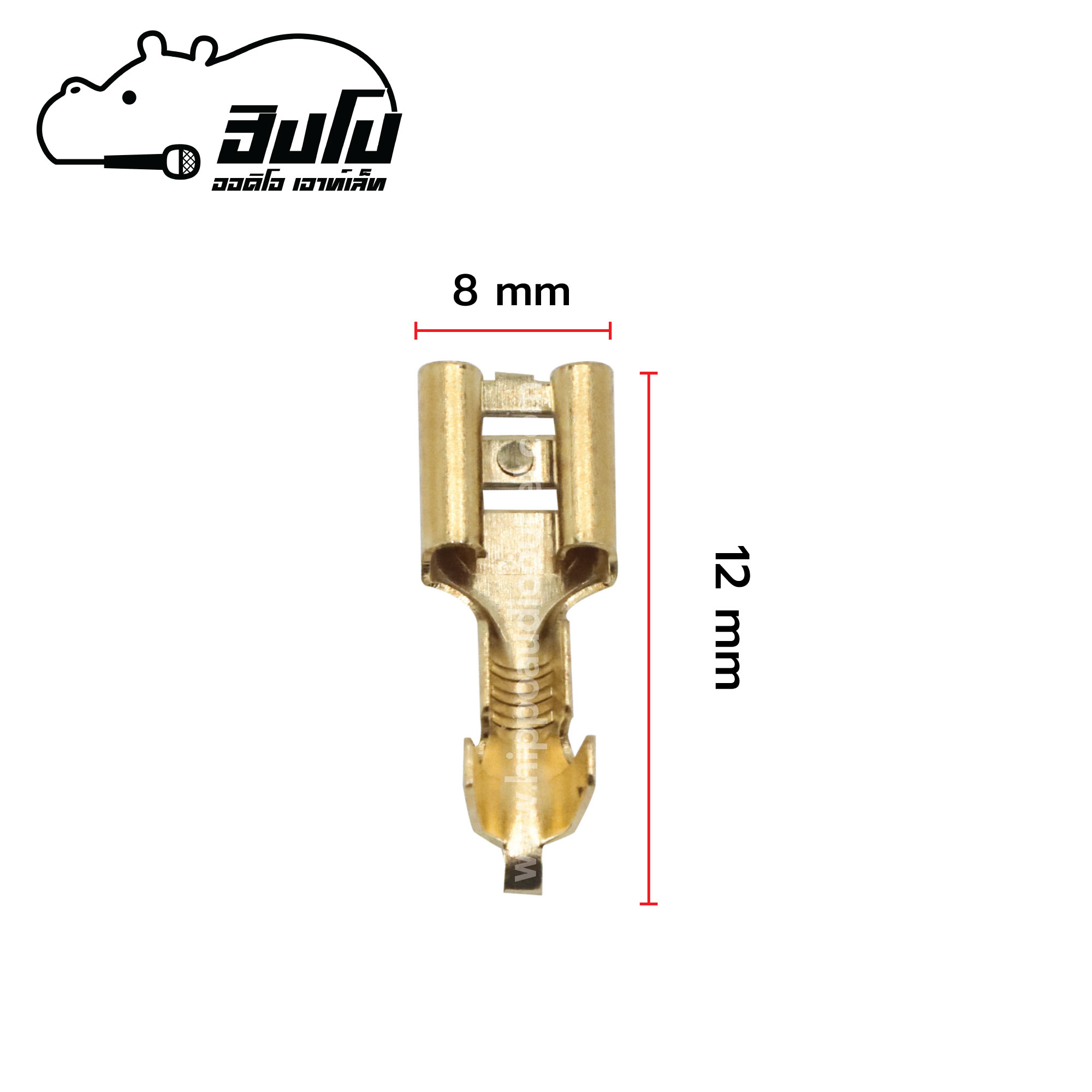 หางปลา 6.3 MM. ND 6.3 F AU (100 ตัว) (ก1.1)