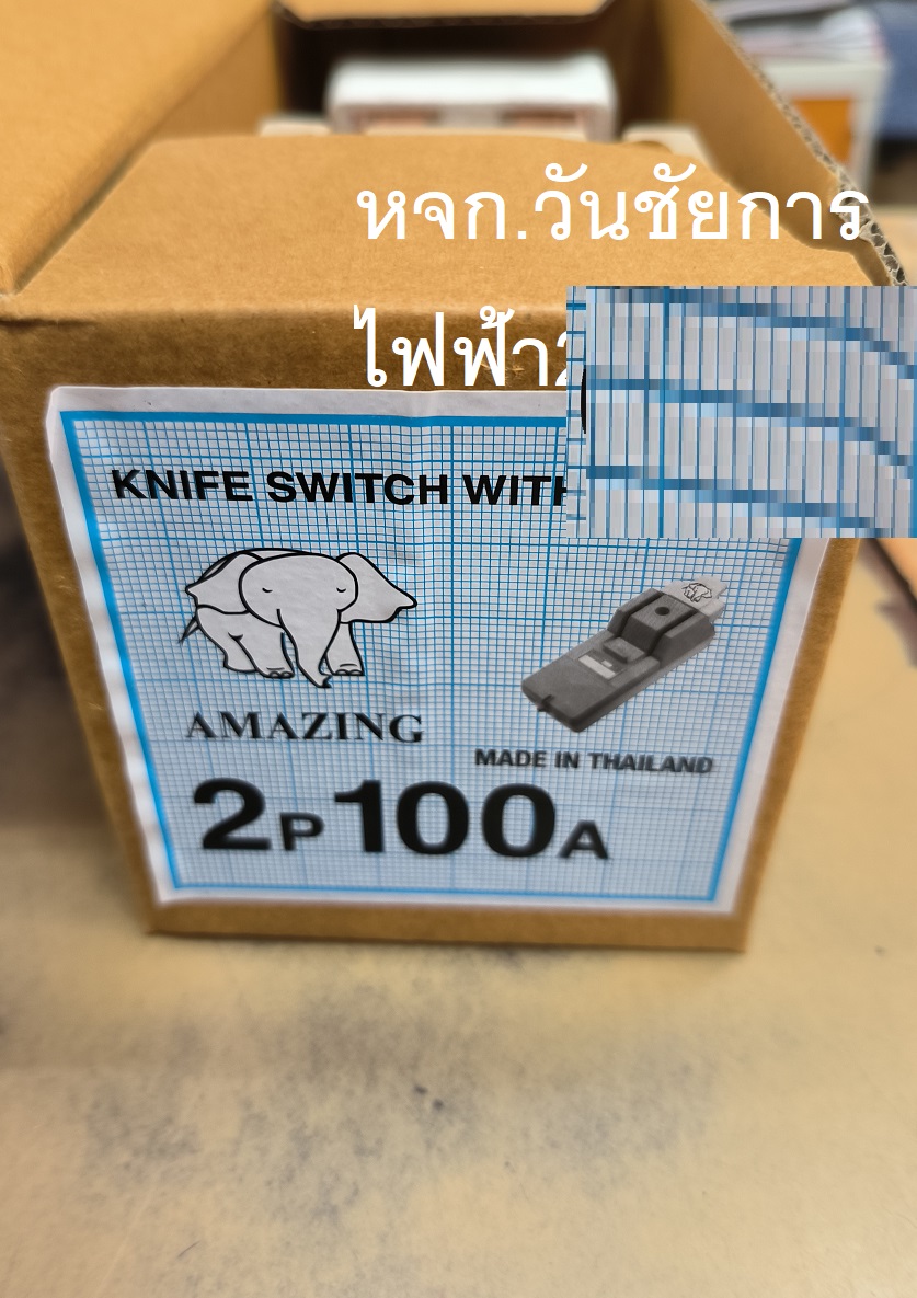 คัทเอาท์ตราช้างเอซิ่ง สะพานไฟ 2P 100A แถม ฟิวส์ 2 ตัว