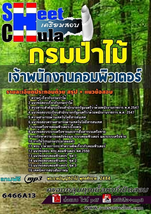 แนวข้อสอบเจ้าพนักงานคอมพิวเตอร์ กรมป่าไม้ 2568