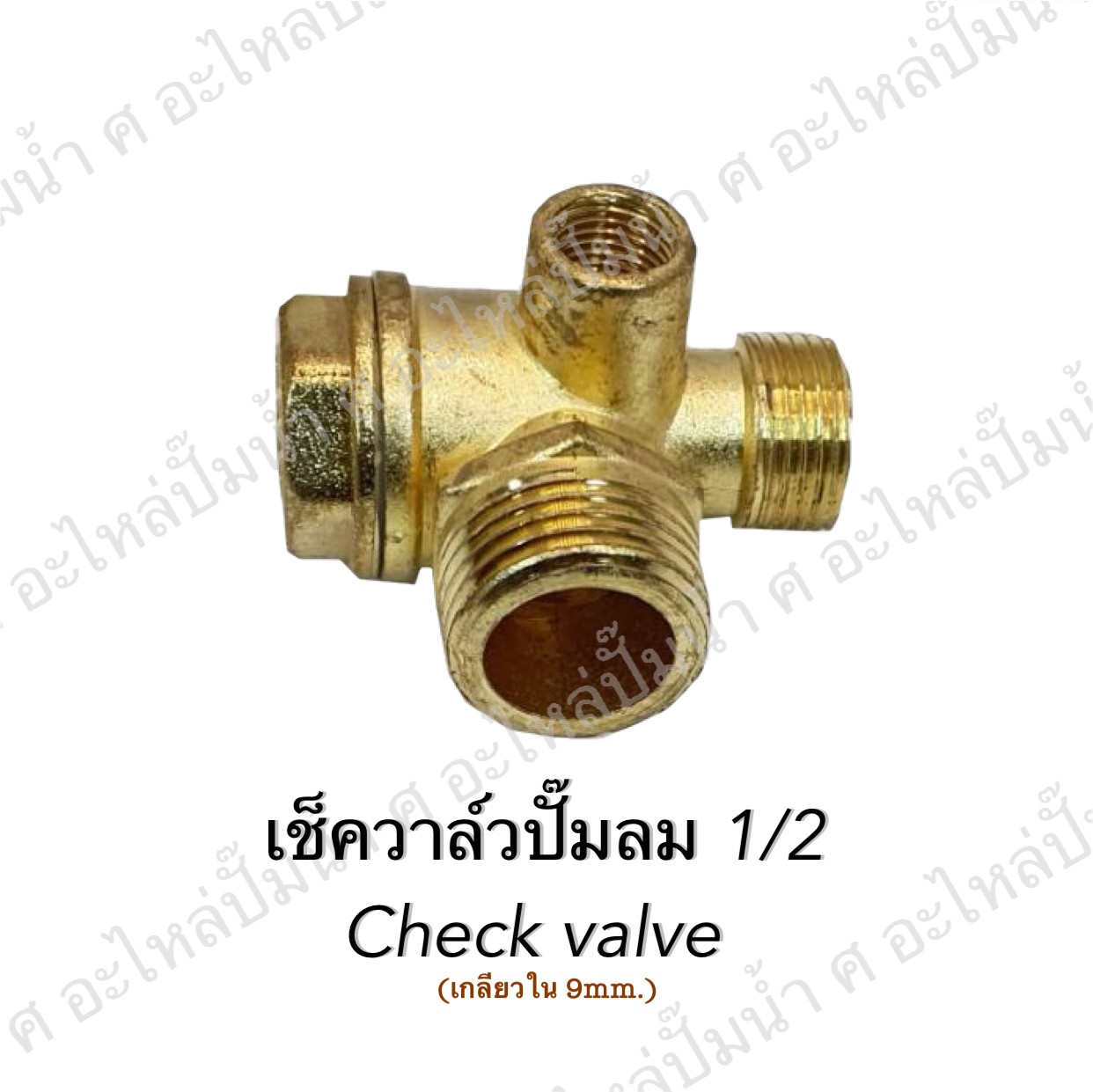 เช็ควาวล์ปั๊มลม 1/2 (92-12B)